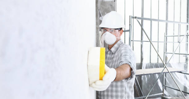 Why You Should Choose Our Mold Remediation Services in Waggaman, LA